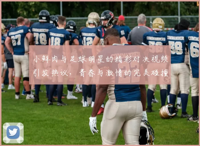 小鲜肉与足球明星的精彩对决视频引发热议，青春与激情的完美碰撞