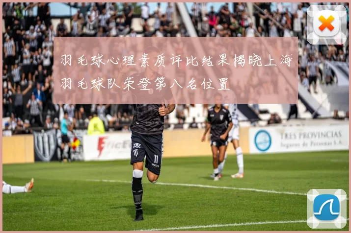 羽毛球心理素质评比结果揭晓上海羽毛球队荣登第八名位置