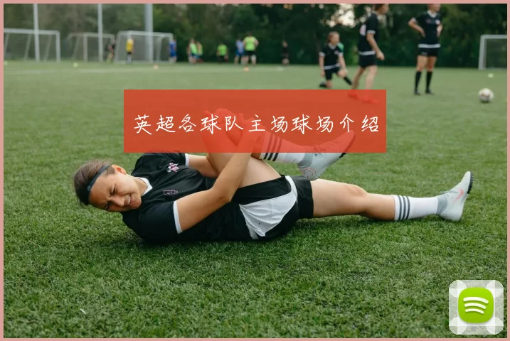 英超各球队主场球场介绍