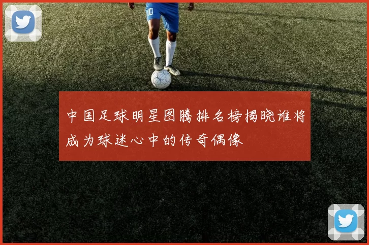 中国足球明星图腾排名榜揭晓谁将成为球迷心中的传奇偶像