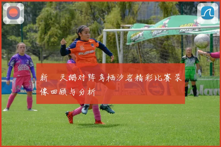 新潟天鹅对阵鸟栖沙岩精彩比赛录像回顾与分析