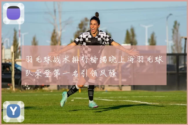 羽毛球战术排行榜揭晓上海羽毛球队荣登第一名引领风骚
