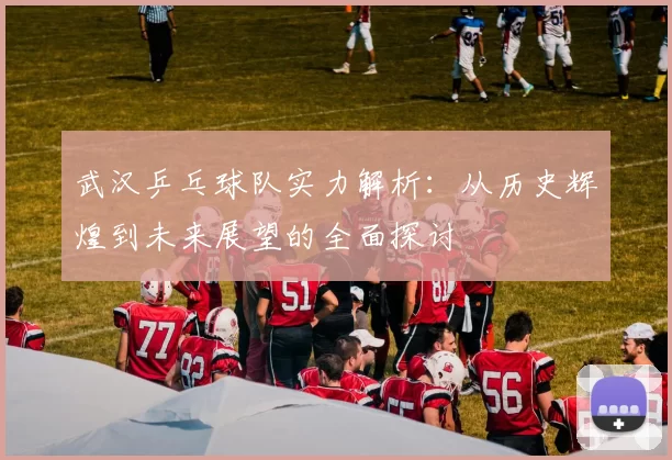 武汉乒乓球队实力解析：从历史辉煌到未来展望的全面探讨