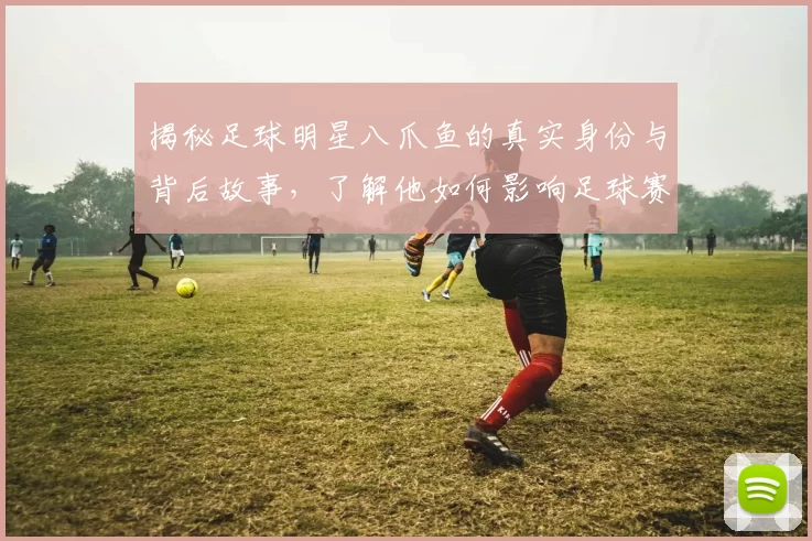 揭秘足球明星八爪鱼的真实身份与背后故事，了解他如何影响足球赛事的结果