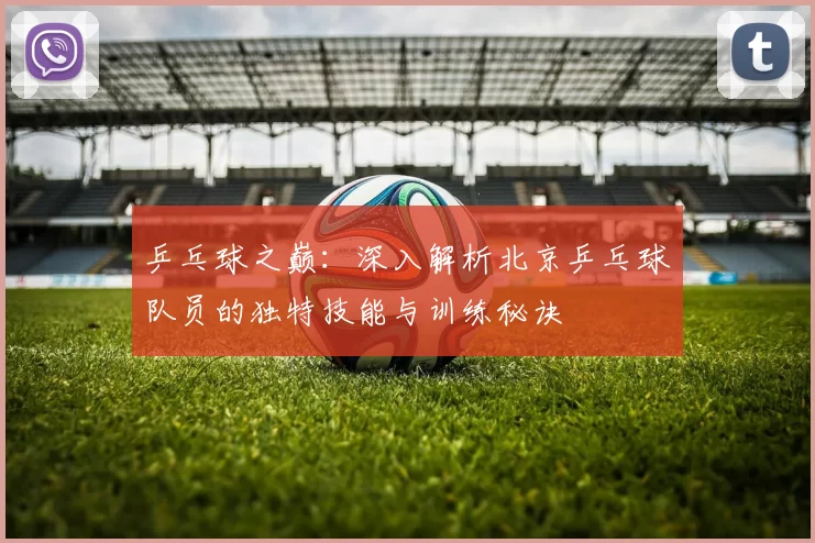 乒乓球之巅：深入解析北京乒乓球队员的独特技能与训练秘诀