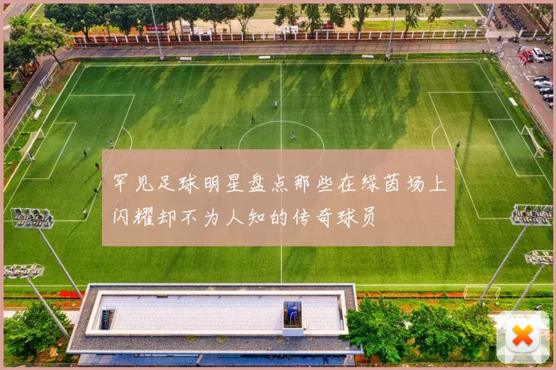 罕见足球明星盘点那些在绿茵场上闪耀却不为人知的传奇球员