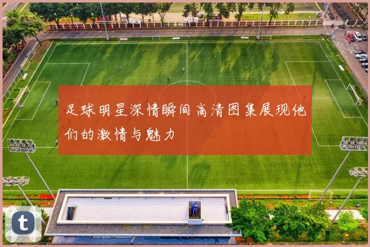 足球明星深情瞬间高清图集展现他们的激情与魅力