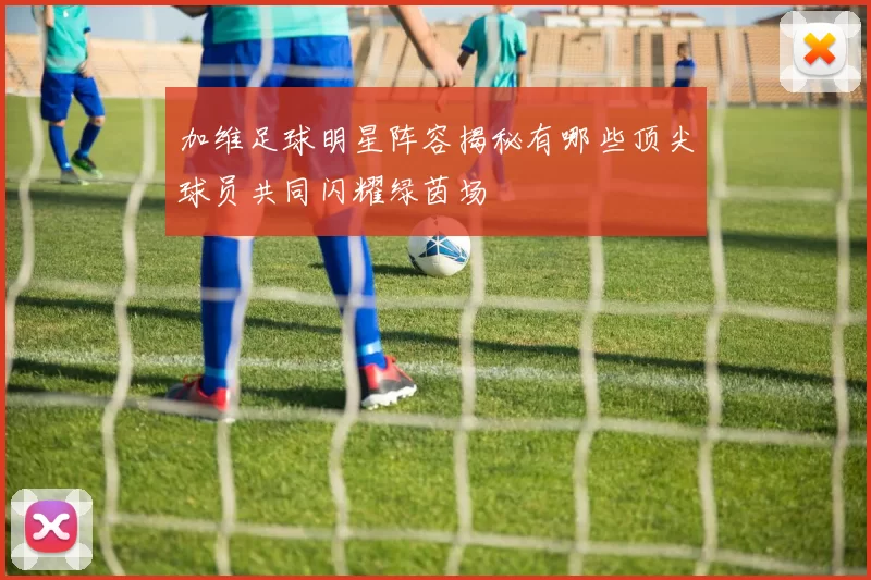 加维足球明星阵容揭秘有哪些顶尖球员共同闪耀绿茵场