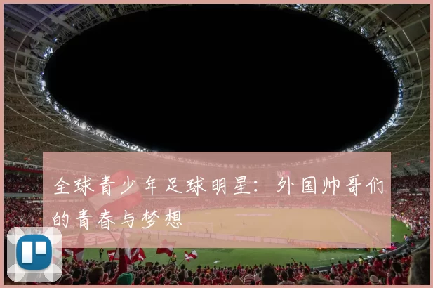 全球青少年足球明星：外国帅哥们的青春与梦想