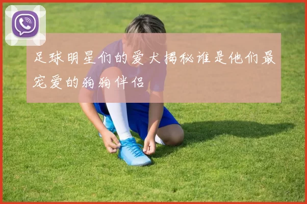 足球明星们的爱犬揭秘谁是他们最宠爱的狗狗伴侣
