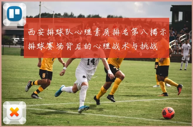 西安排球队心理素质排名第八揭示排球赛场背后的心理战术与挑战