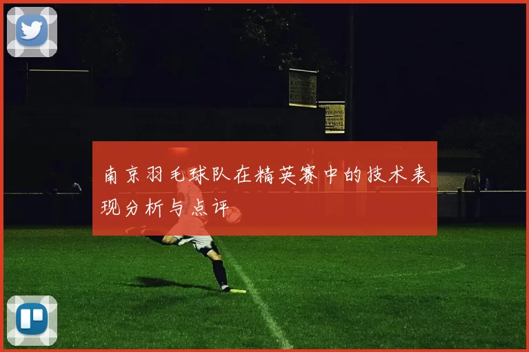 南京羽毛球队在精英赛中的技术表现分析与点评
