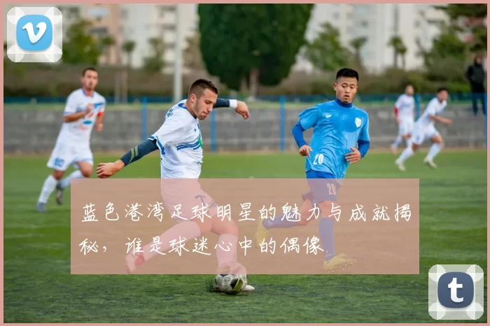 蓝色港湾足球明星的魅力与成就揭秘，谁是球迷心中的偶像