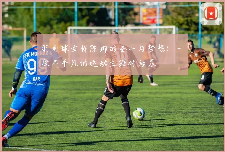 羽毛球女将陈娜的奋斗与梦想：一段不平凡的运动生涯对话录
