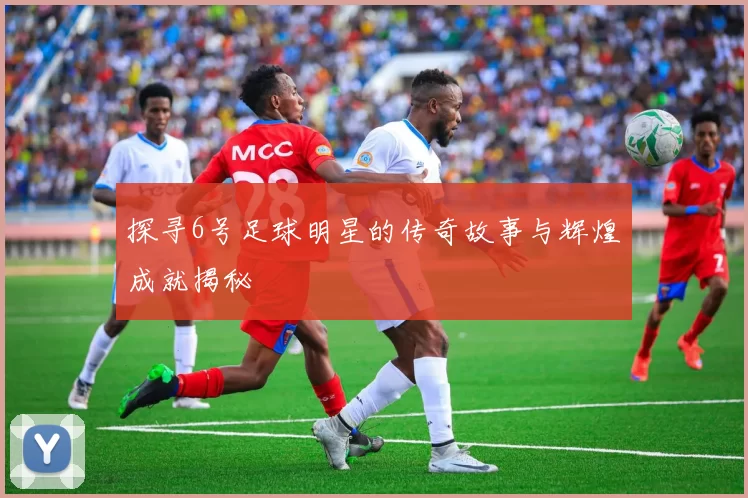 探寻6号足球明星的传奇故事与辉煌成就揭秘
